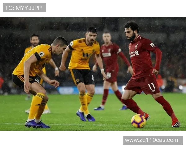 狼队与布伦特福德对决前瞻分析及胜负预测详解