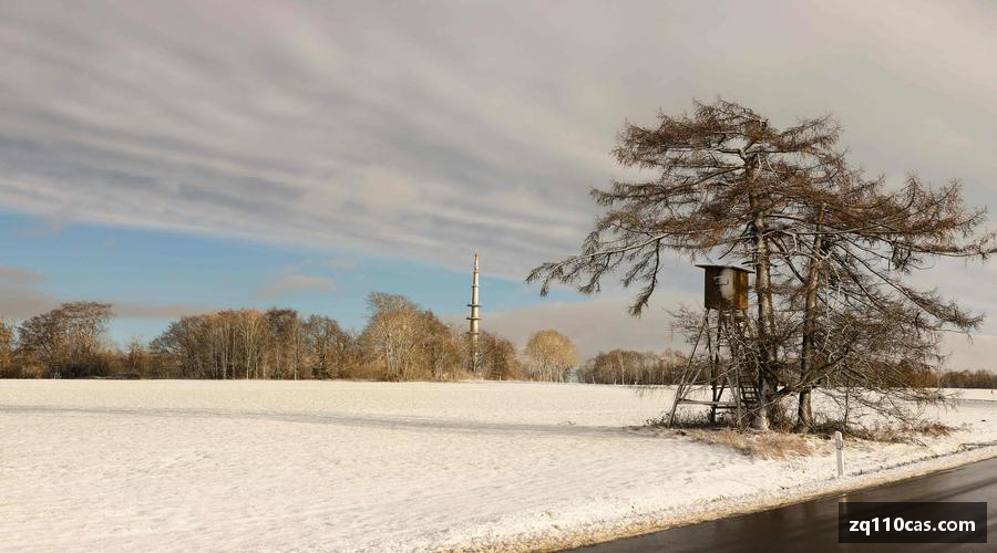 不断进步，逐步实现目标。